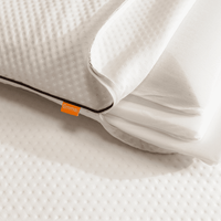 Emma 2 Pack Foam Pillow