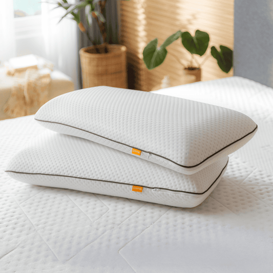 Emma 2 Pack Foam Pillow