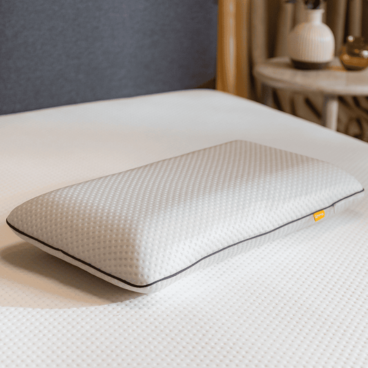 Emma Single Foam Pillow