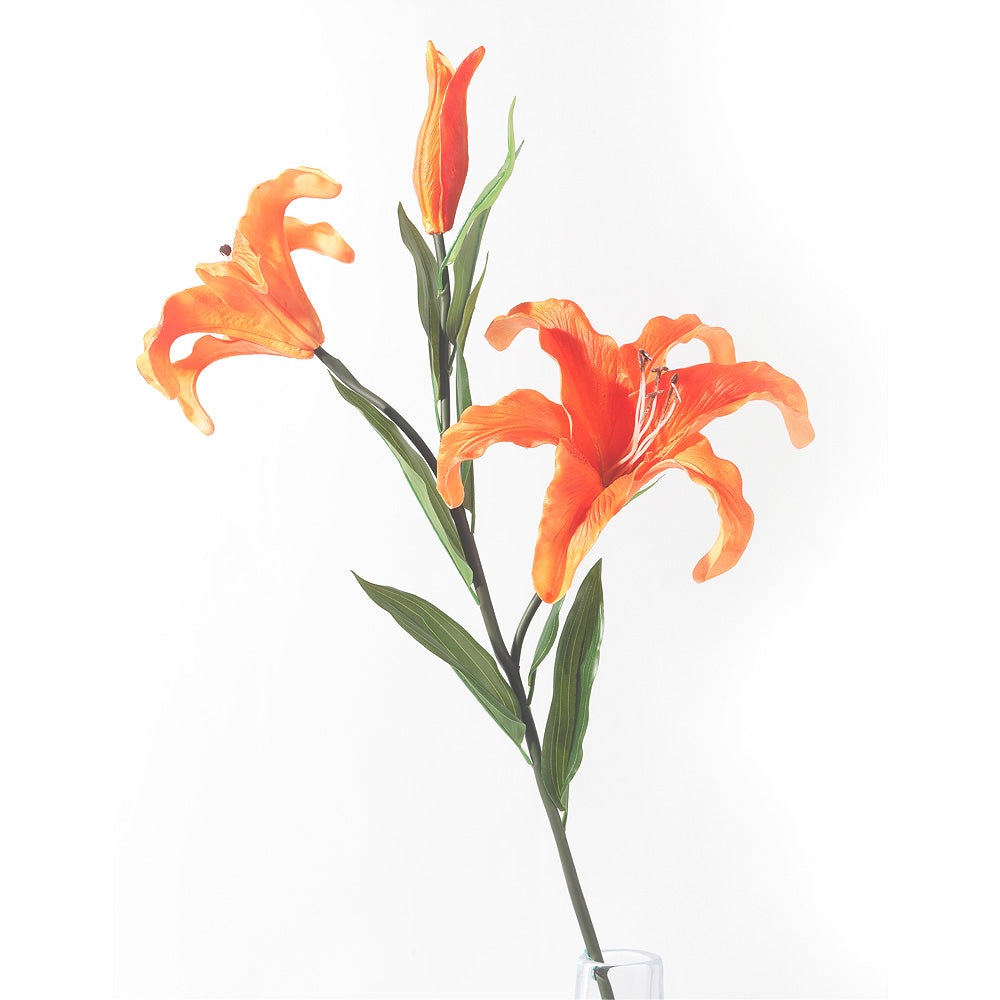 lily flower philippines Flourish Enchantment Lily – Our Home Philippines