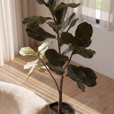 Botanicals & Planters