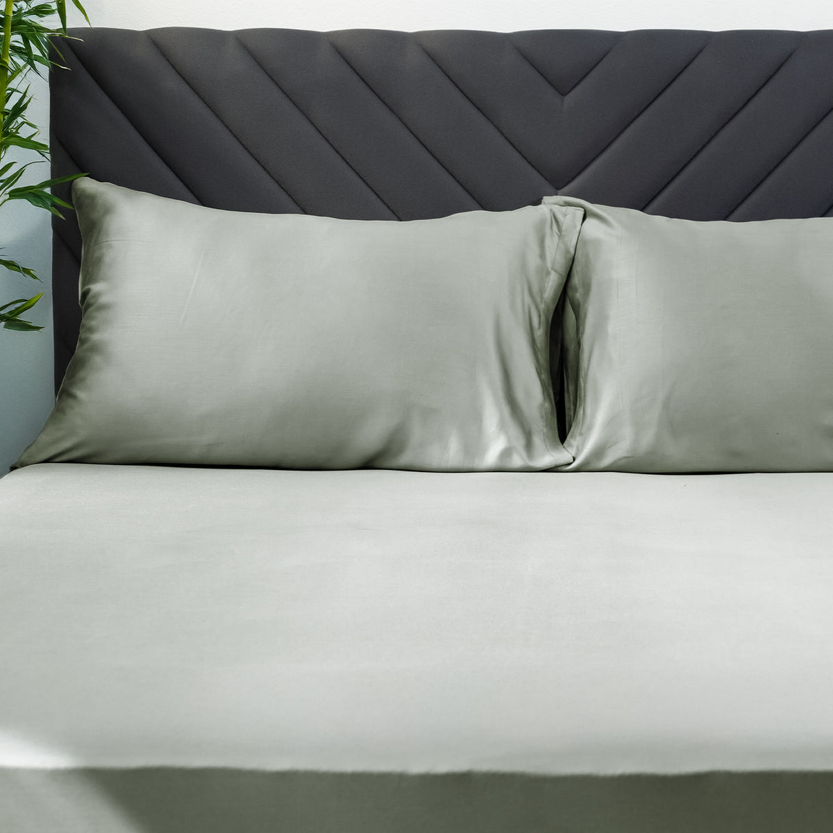 Uratex Eco Deluxe Pillowcase
