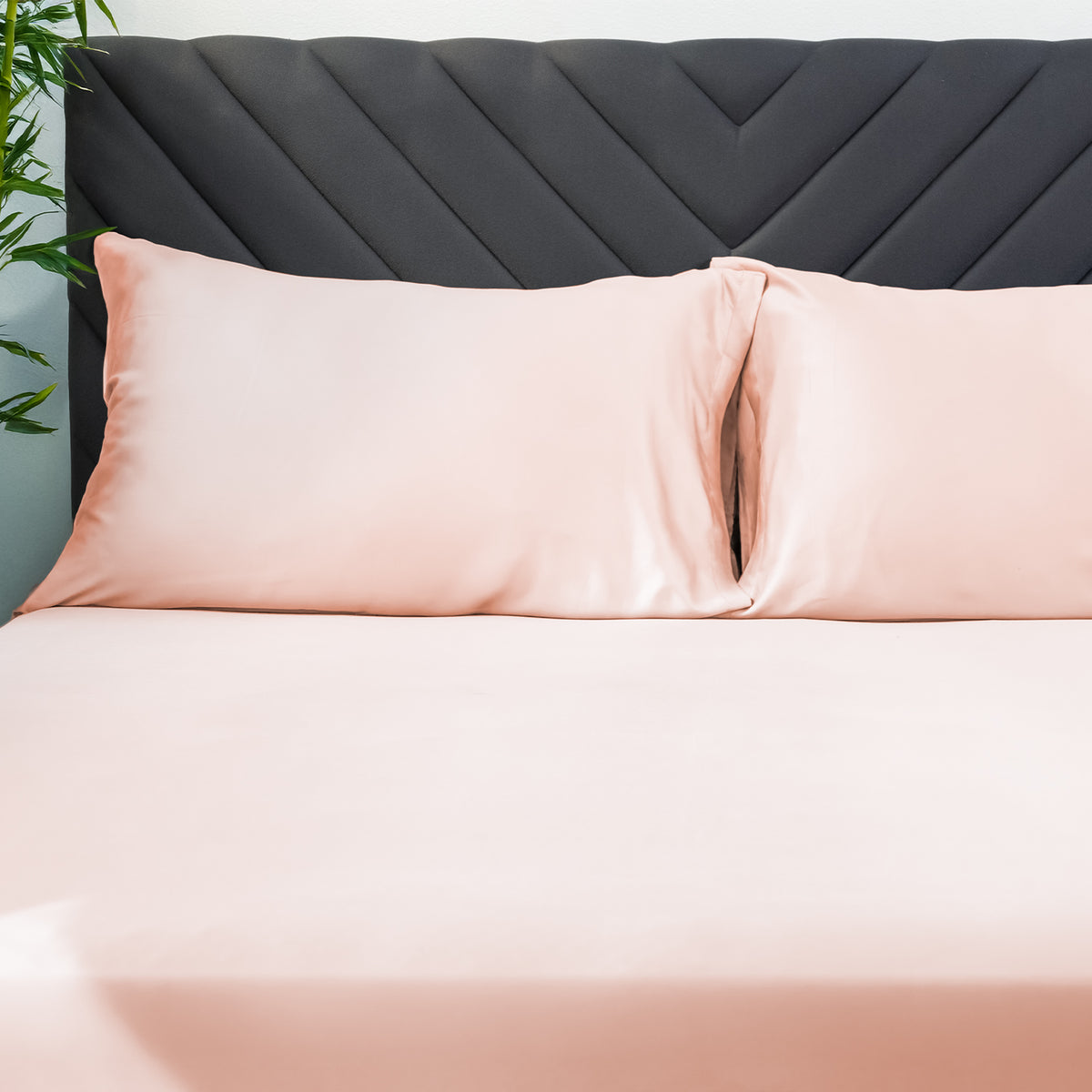 Uratex Eco Deluxe Pillowcase