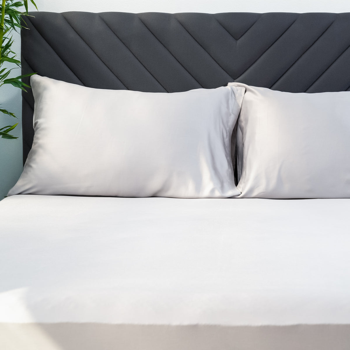 Uratex Eco Deluxe Pillowcase