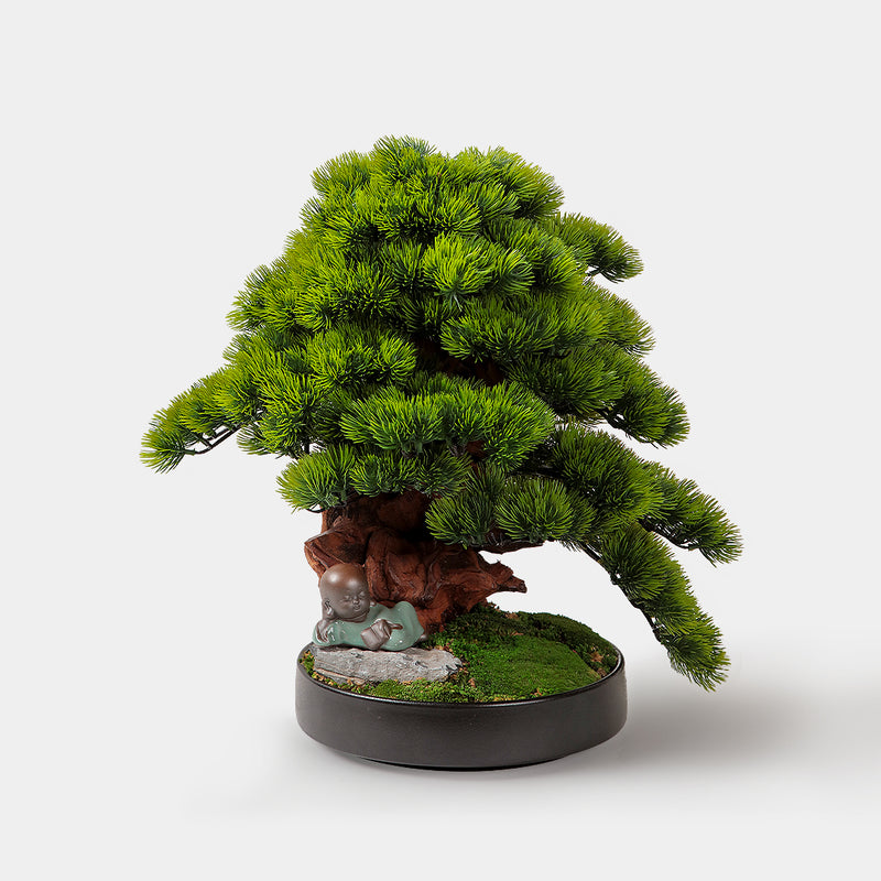 Kagawa Bonsai