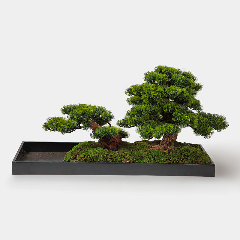 Nara Bonsai