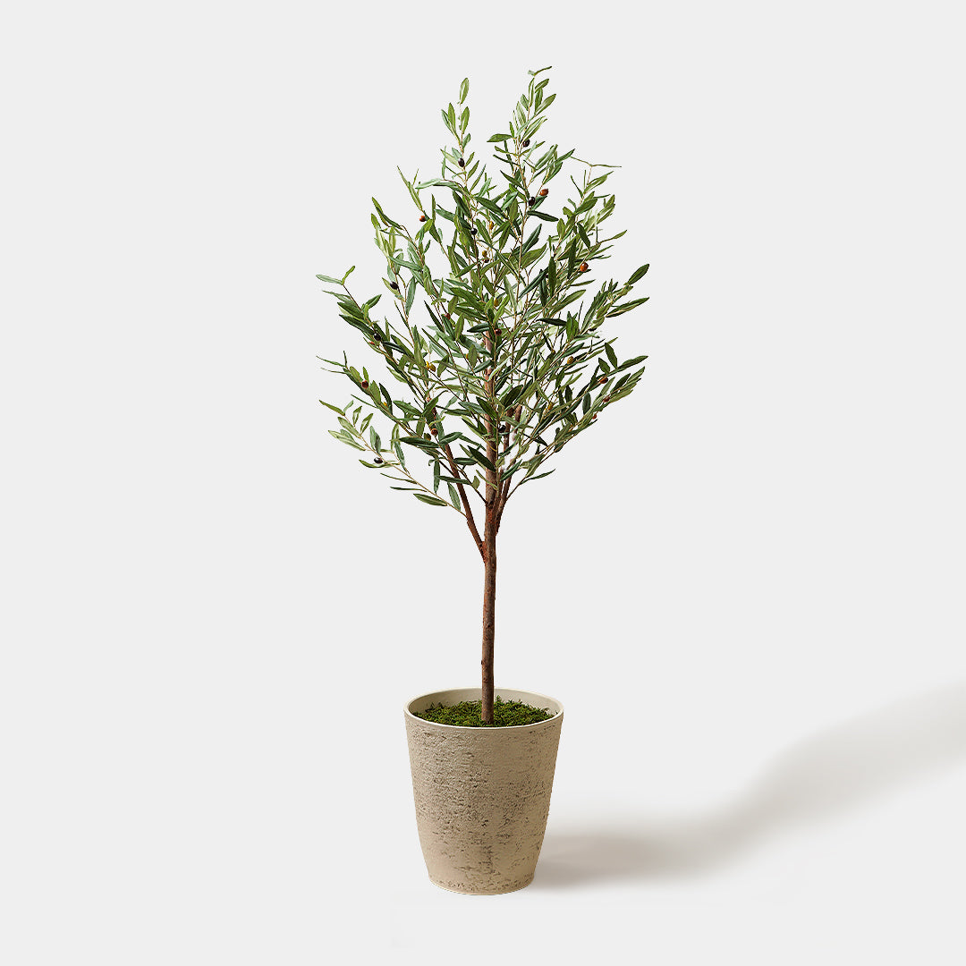 Flourish Faux Olive Tree