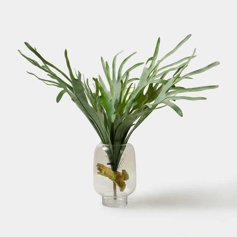 Flourish Faux Staghorn Fern