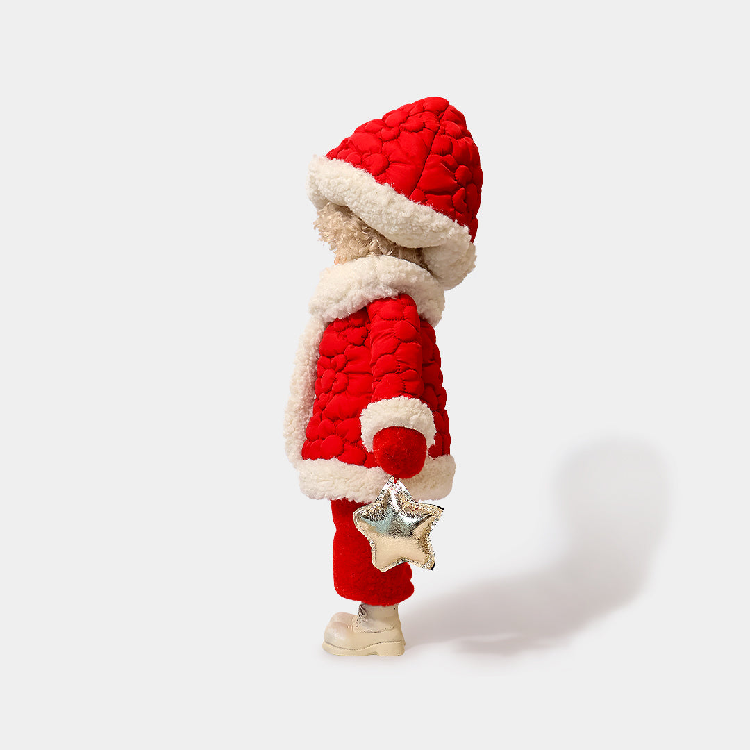 Winter Mushroom Red Hood Boy with Star