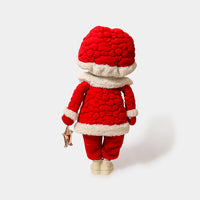 Winter Mushroom Red Hood Boy with Star