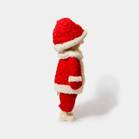 Winter Mushroom Red Hood Boy with Star