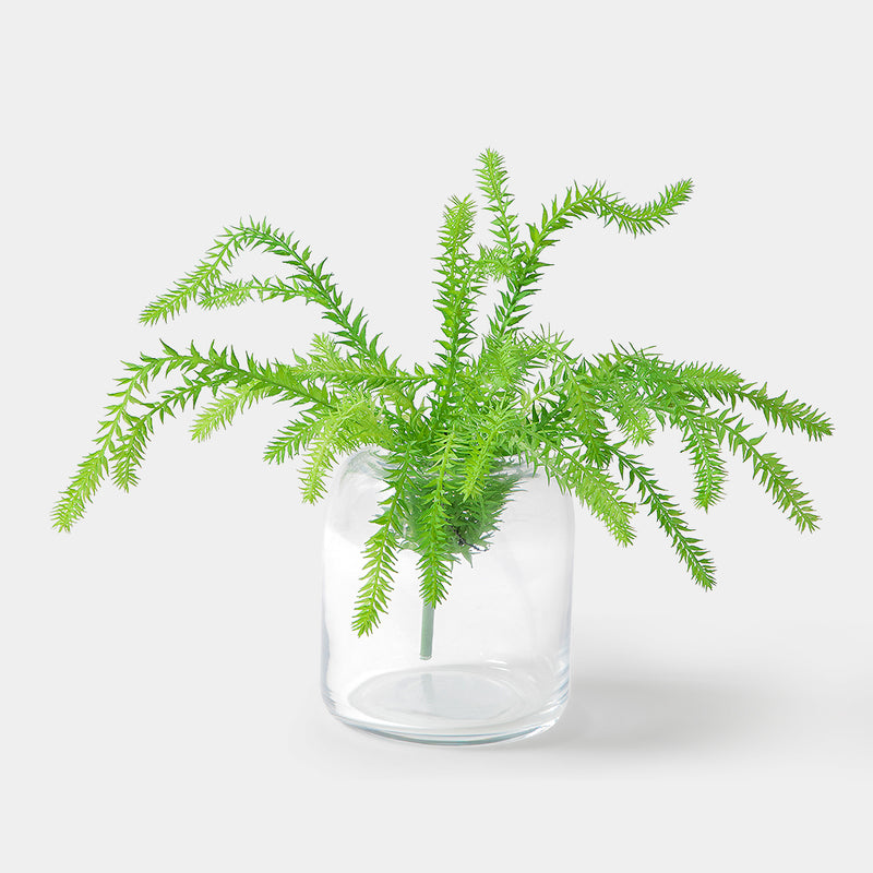 Flourish Hupervine