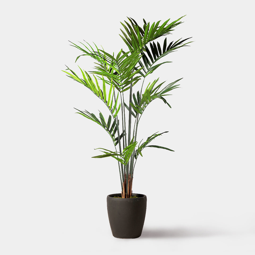 Flourish Palm Tree