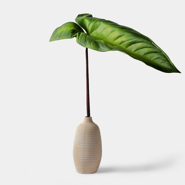 Flourish Philodendron Leaf