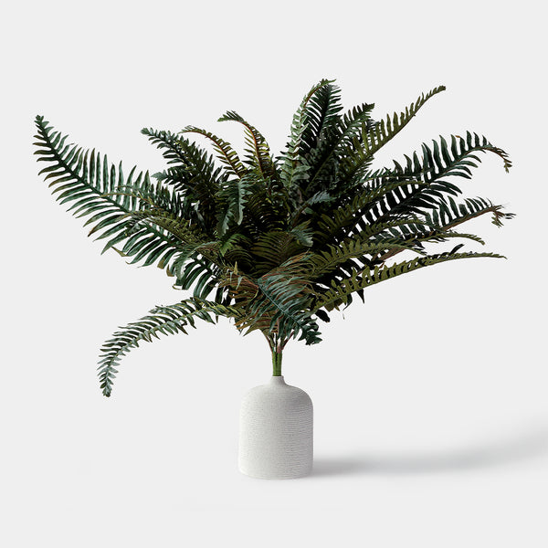 Flourish Boston Fern Leaf