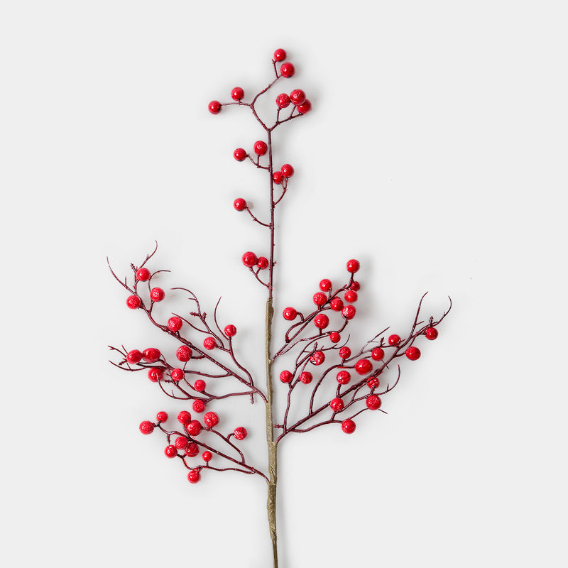 Red Berries Cluster