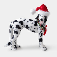 Dalmatian Décor from Paws & Claws Collection