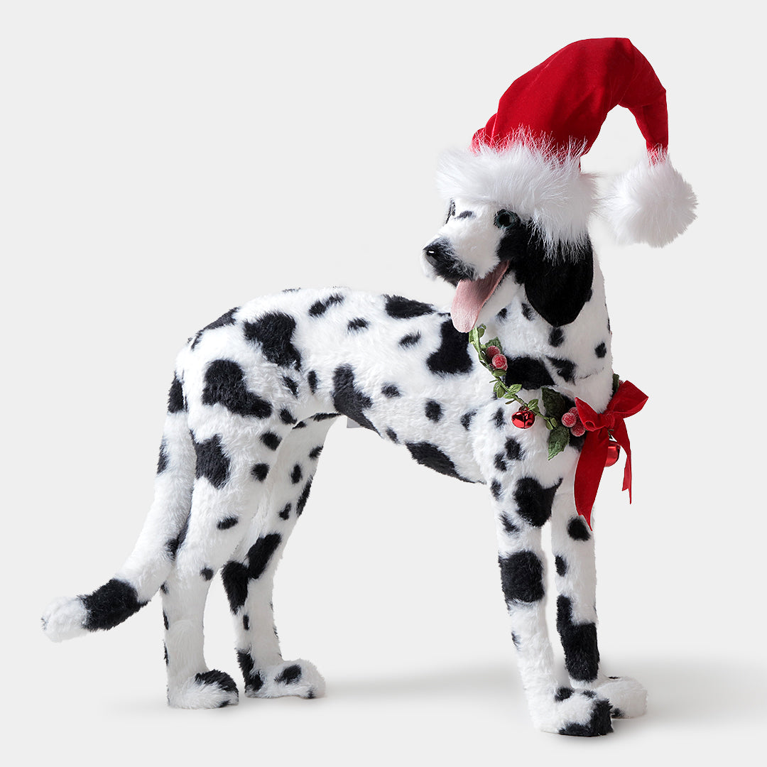 Dalmatian Décor from Paws & Claws Collection