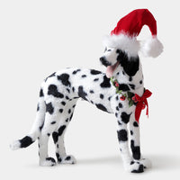 Dalmatian Décor from Paws & Claws Collection