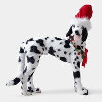 Dalmatian Décor from Paws & Claws Collection