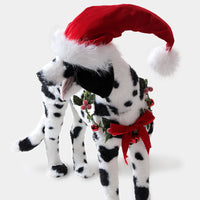 Dalmatian Décor from Paws & Claws Collection