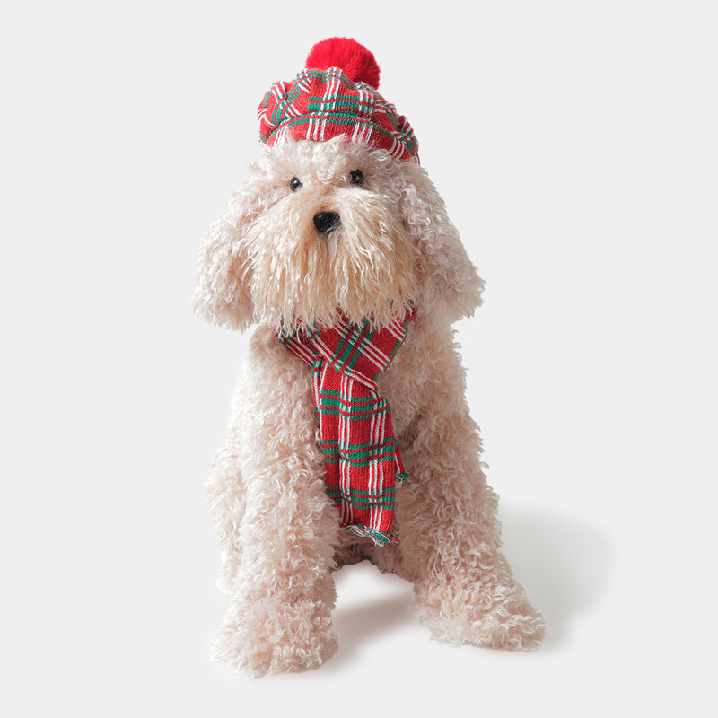 Sitting Brown Dog Hat and Scarf from Paws & Claws Collection