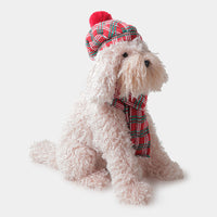 Sitting Brown Dog Hat and Scarf from Paws & Claws Collection