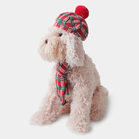 Sitting Brown Dog Hat and Scarf from Paws & Claws Collection