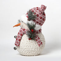 Snowman with Beannie Yarn Collection