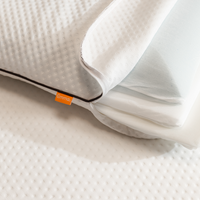 Emma 2 Pack Foam Pillow