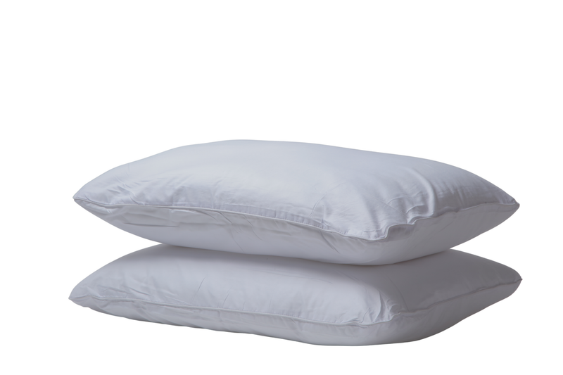 Suisse Living Deluxe Fiberfill Pillow Set of 2