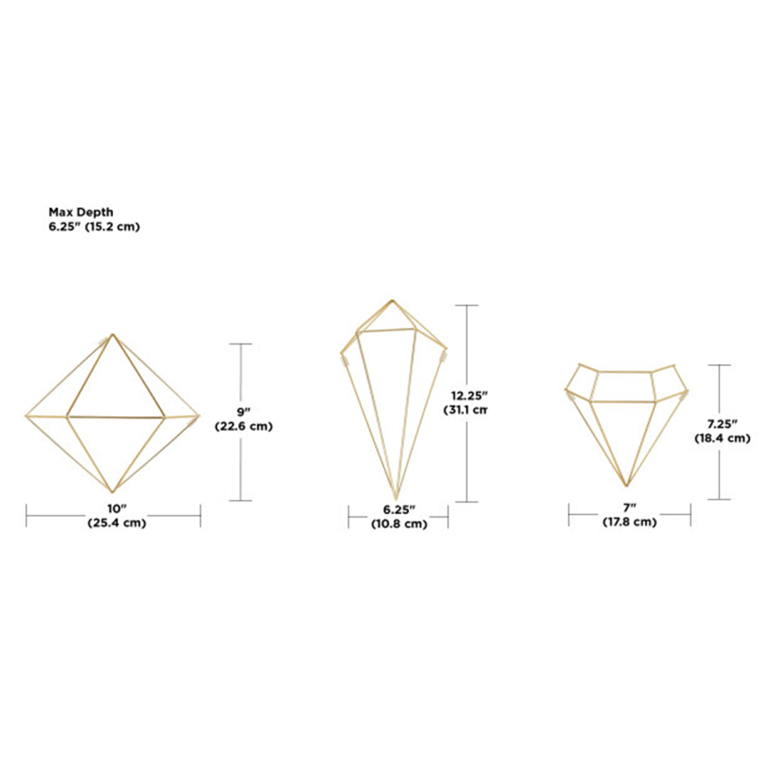 Umbra Prisma Wall DÃ©cor Set of 6