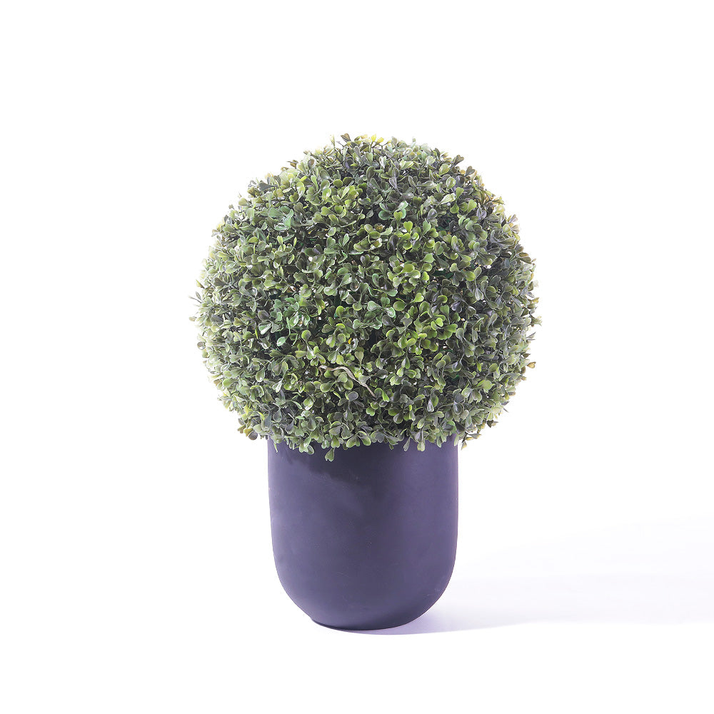 Flourish Boxwood Topiary