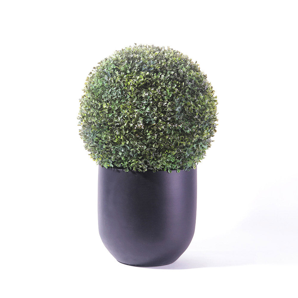 Flourish Boxwood Topiary