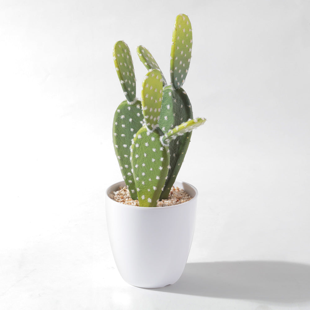Flourish Faux Potted Succulent A (6623052595279)