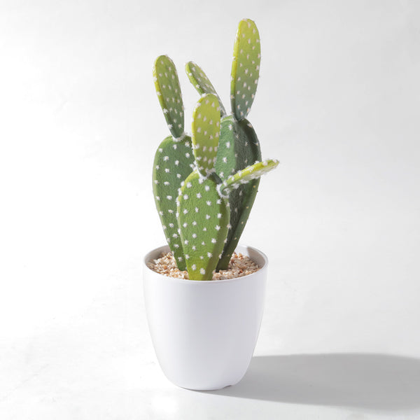 Flourish Faux Potted Succulent A