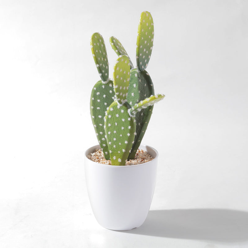Flourish Faux Potted Succulent A