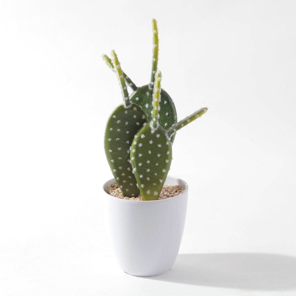 Flourish Faux Potted Succulent A (6623052595279)