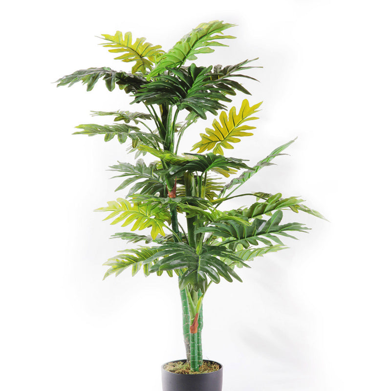 Flourish Split-Leaf Philodendron (7585807761649)