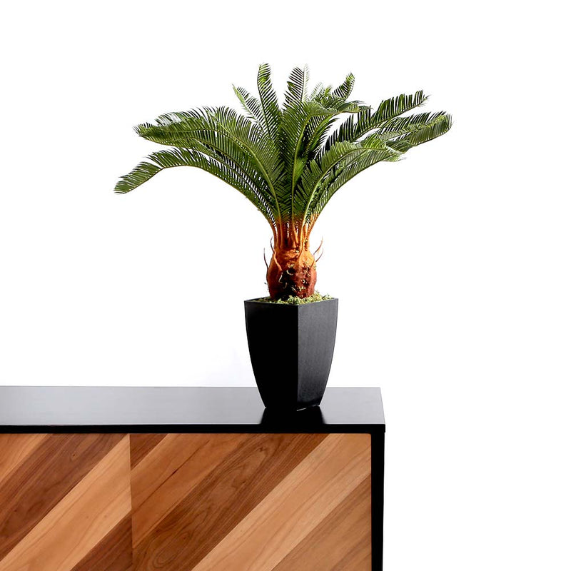 Flourish Cycas Pot