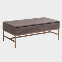 Living Room Fristel Center Table Deep Gray (4781719388239)