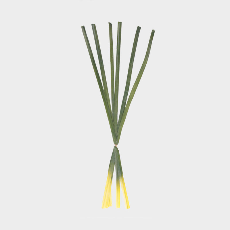 Reeds