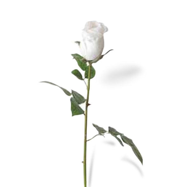 Rose Spray